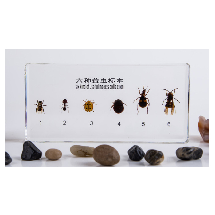 ���N���x(ch��ng)��(bi��o)��