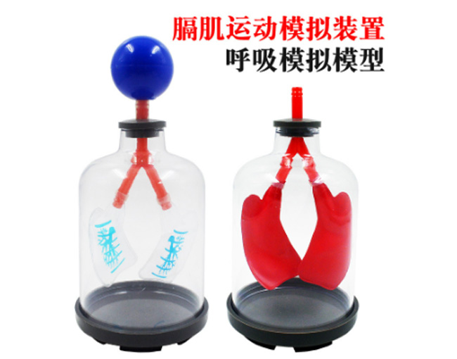 �����\(y��n)��(d��ng)ģ�M��